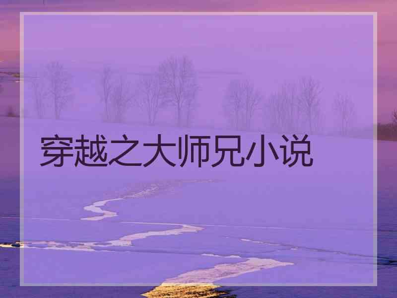 穿越之大师兄小说