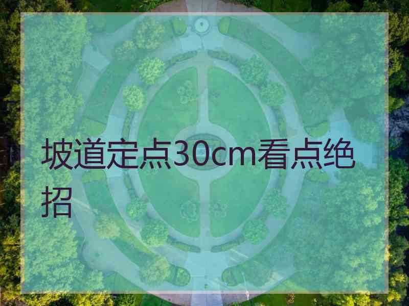 坡道定点30cm看点绝招