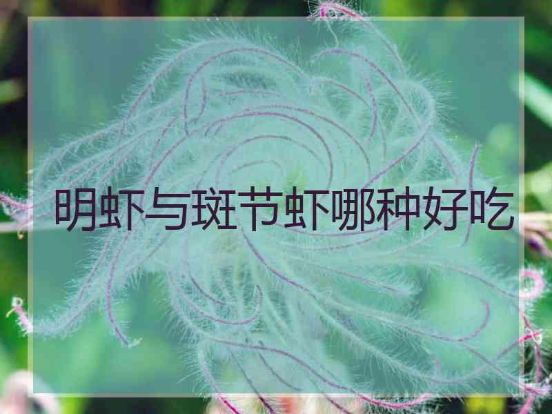 明虾与斑节虾哪种好吃