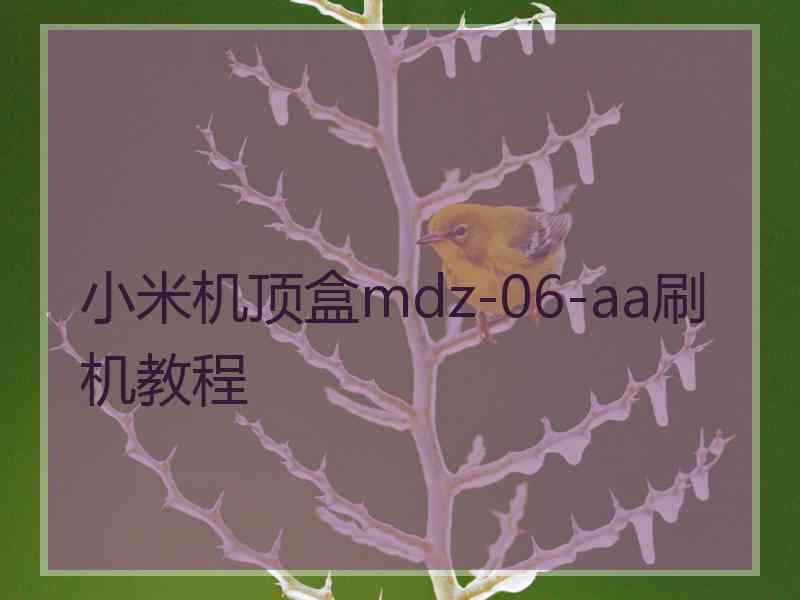 小米机顶盒mdz-06-aa刷机教程