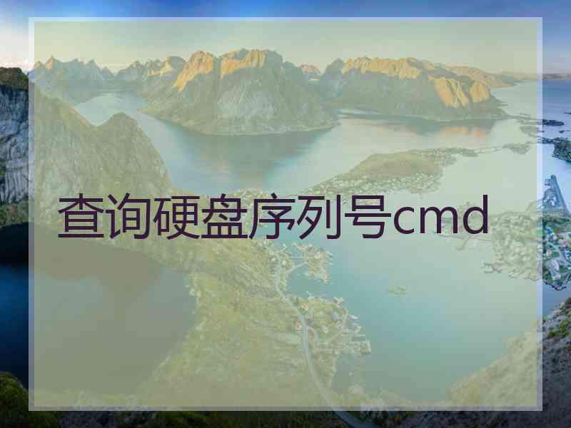 查询硬盘序列号cmd