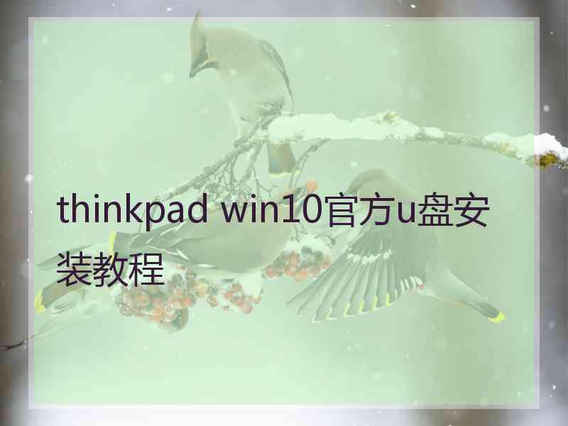 thinkpad win10官方u盘安装教程