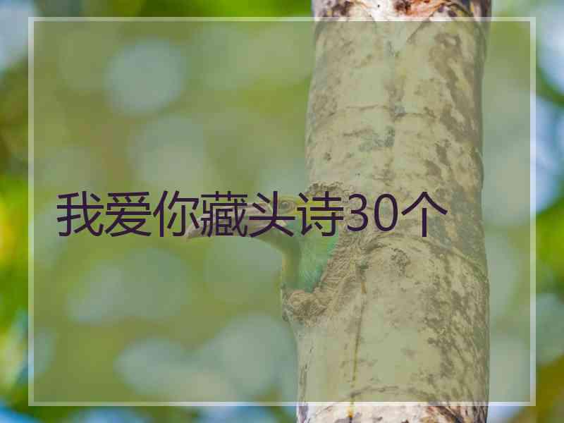 我爱你藏头诗30个