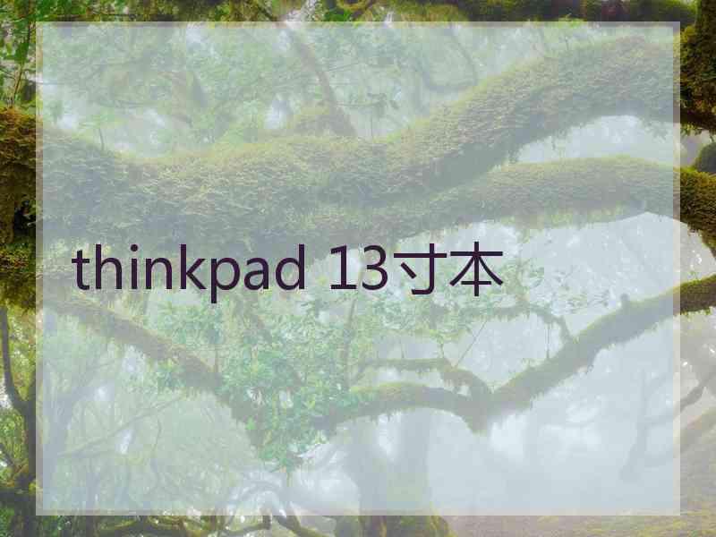 thinkpad 13寸本