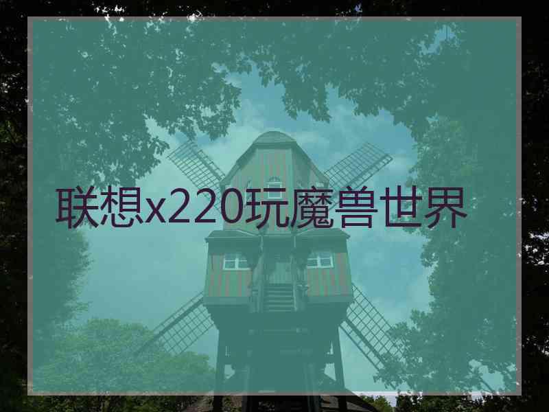 联想x220玩魔兽世界