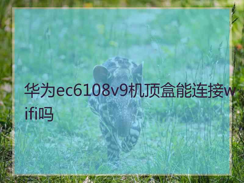 华为ec6108v9机顶盒能连接wifi吗