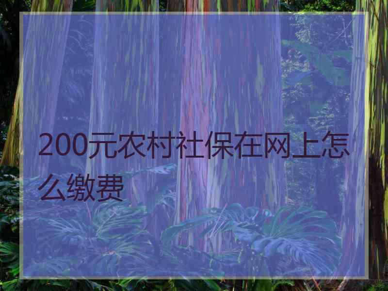 200元农村社保在网上怎么缴费