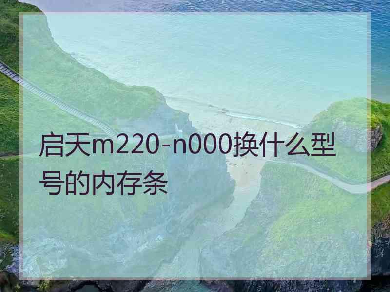 启天m220-n000换什么型号的内存条