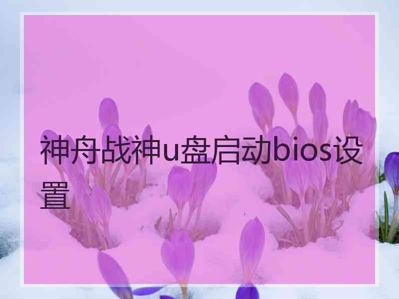 神舟战神u盘启动bios设置