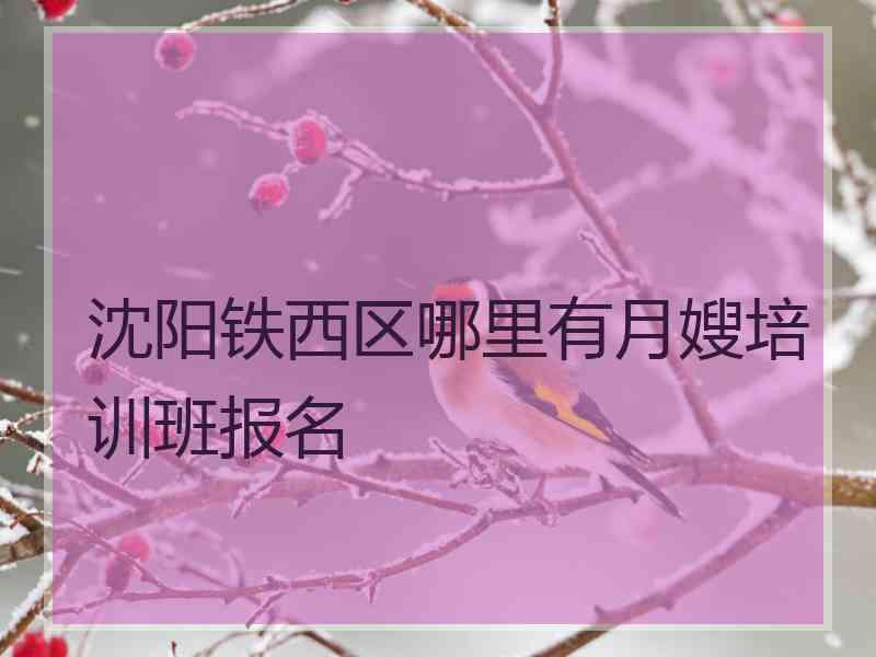 沈阳铁西区哪里有月嫂培训班报名