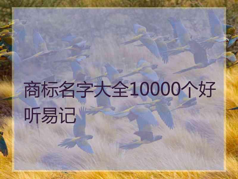 商标名字大全10000个好听易记