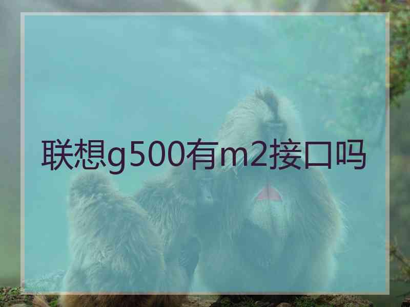 联想g500有m2接口吗