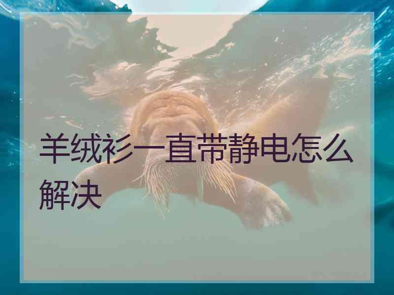 羊绒衫一直带静电怎么解决