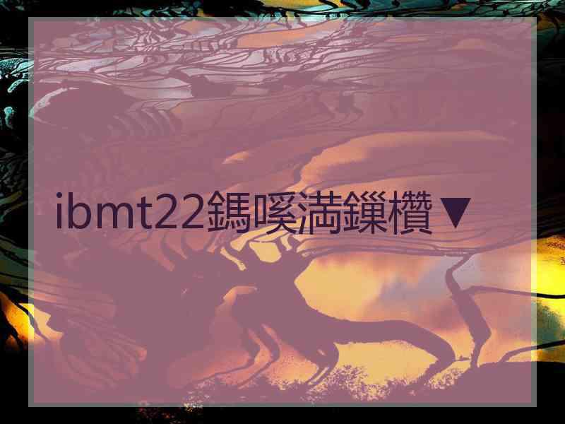 ibmt22鎷嗘満鏁欑▼