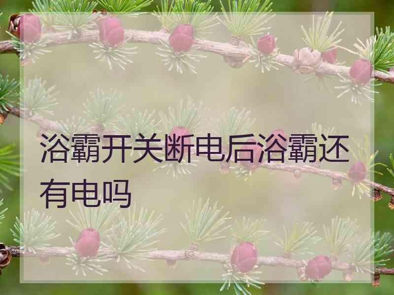 浴霸开关断电后浴霸还有电吗