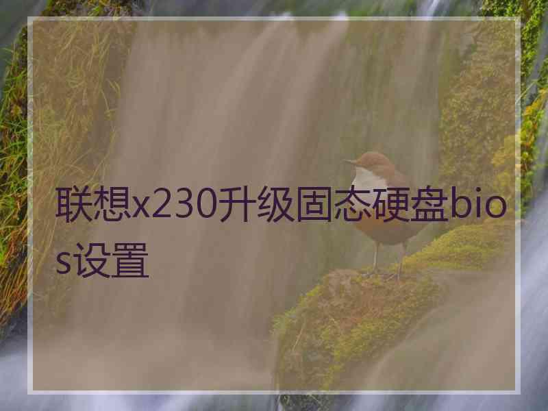 联想x230升级固态硬盘bios设置