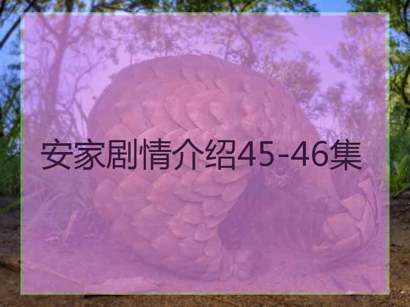 安家剧情介绍45-46集