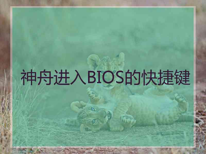 神舟进入BIOS的快捷键