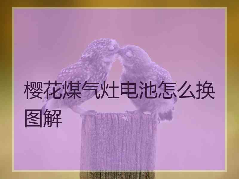 樱花煤气灶电池怎么换图解