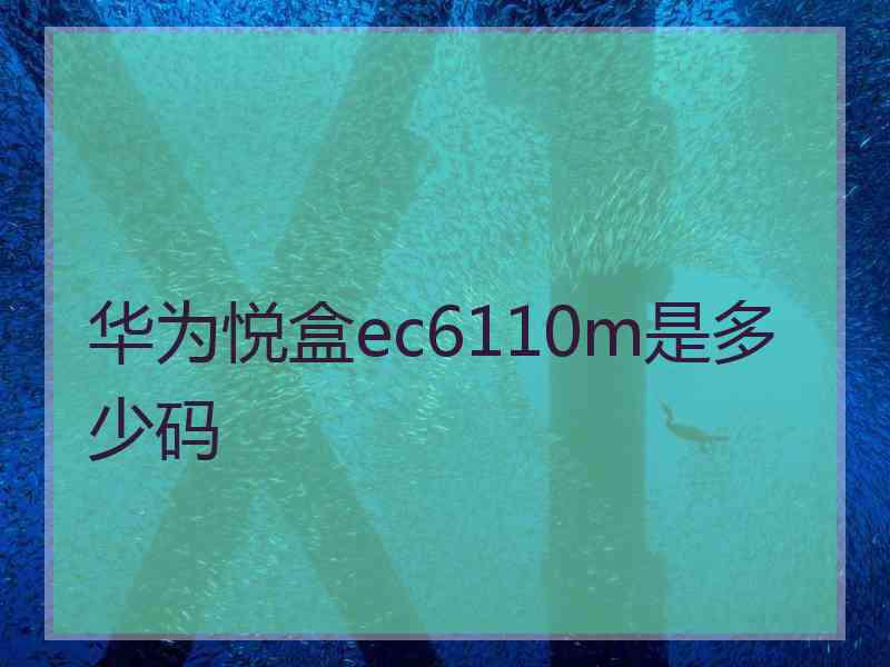 华为悦盒ec6110m是多少码