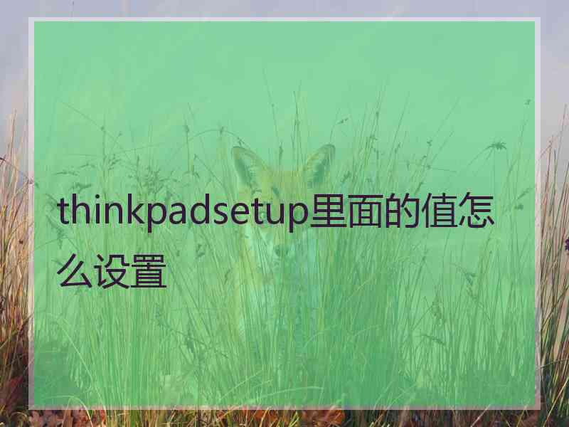 thinkpadsetup里面的值怎么设置