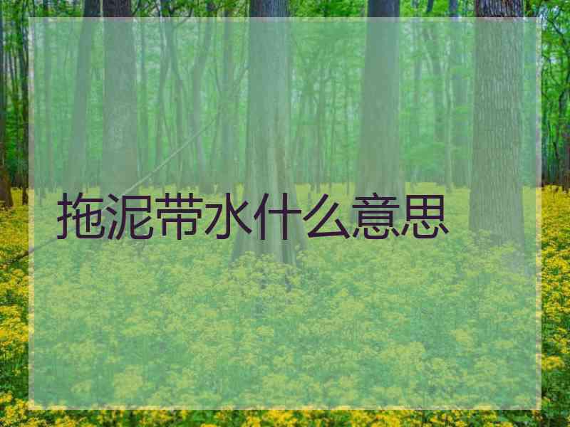 拖泥带水什么意思