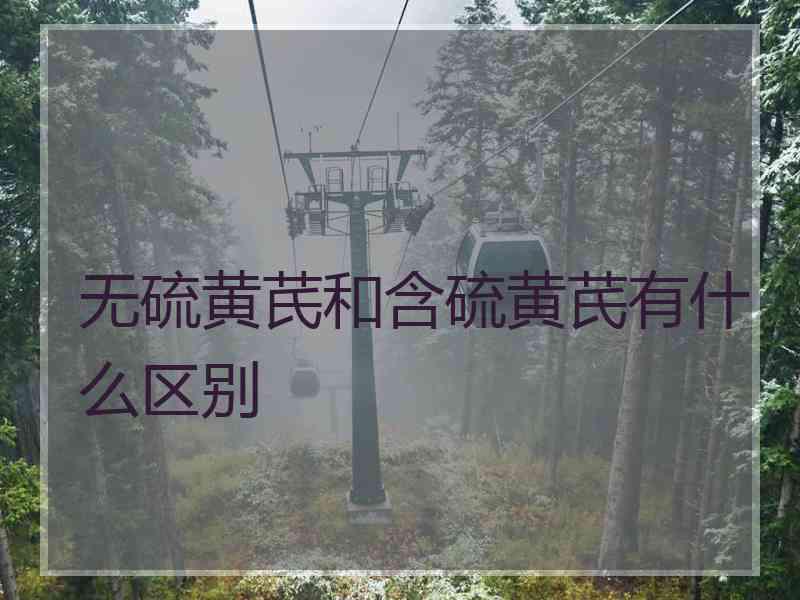 无硫黄芪和含硫黄芪有什么区别