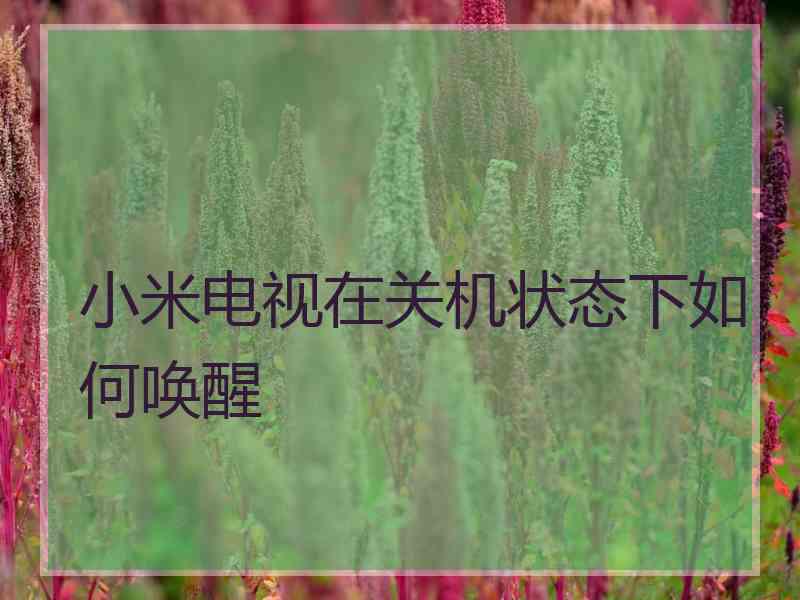 小米电视在关机状态下如何唤醒