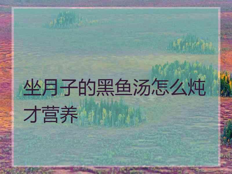 坐月子的黑鱼汤怎么炖才营养