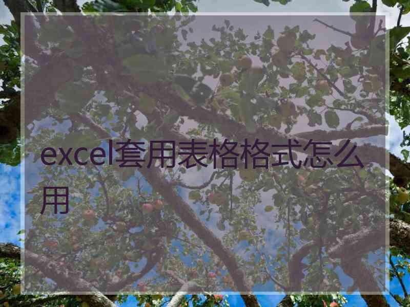 excel套用表格格式怎么用