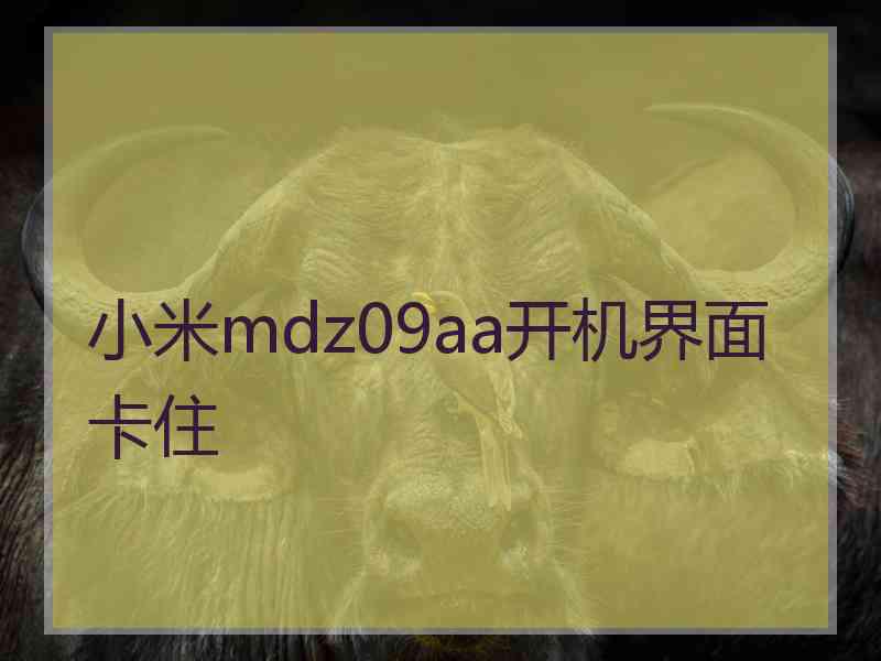 小米mdz09aa开机界面卡住