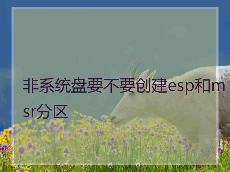 非系统盘要不要创建esp和msr分区