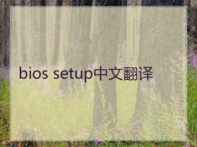 bios setup中文翻译