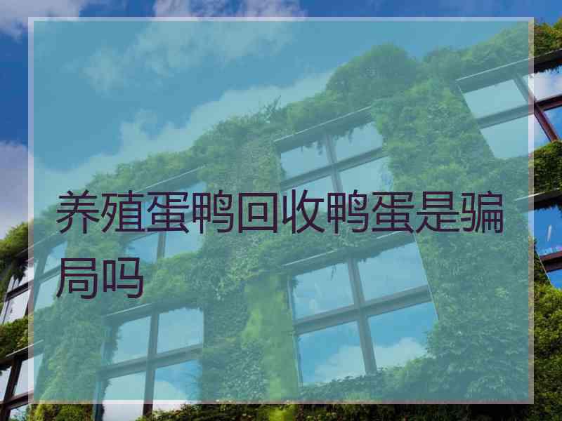 养殖蛋鸭回收鸭蛋是骗局吗