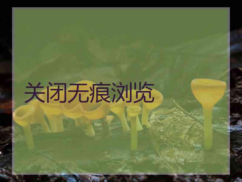 关闭无痕浏览