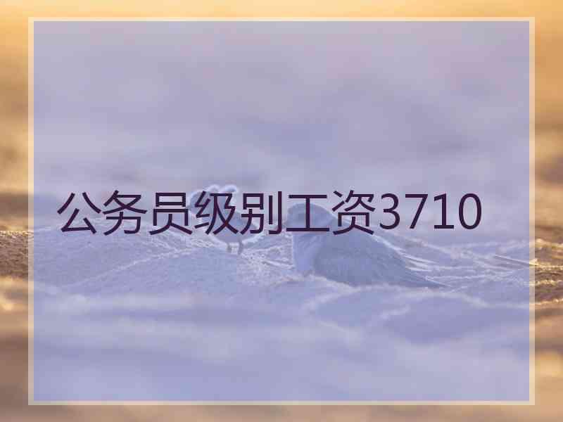 公务员级别工资3710