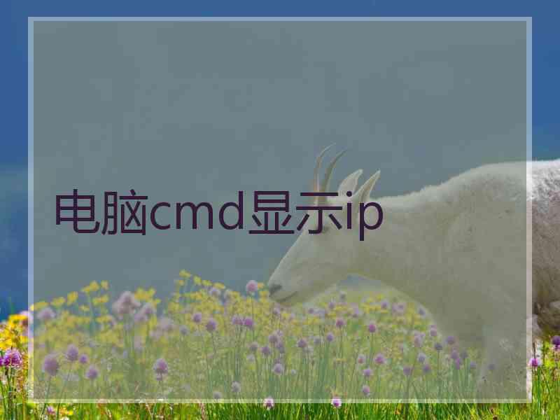 电脑cmd显示ip