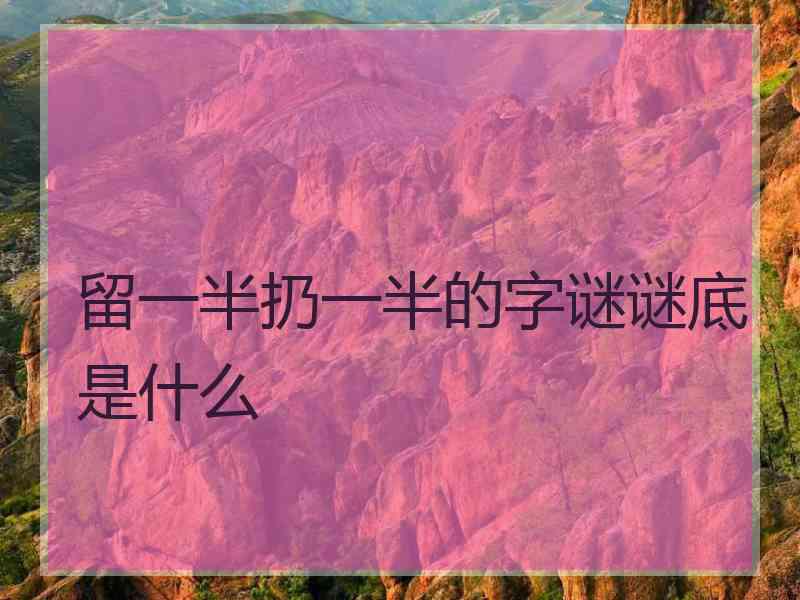 留一半扔一半的字谜谜底是什么