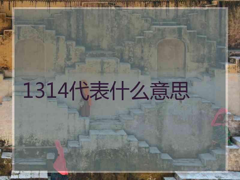 1314代表什么意思