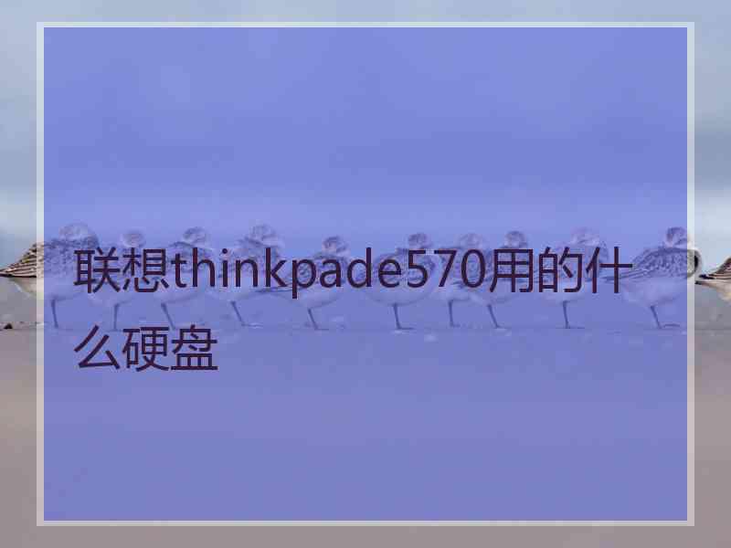 联想thinkpade570用的什么硬盘