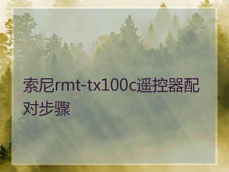 索尼rmt-tx100c遥控器配对步骤