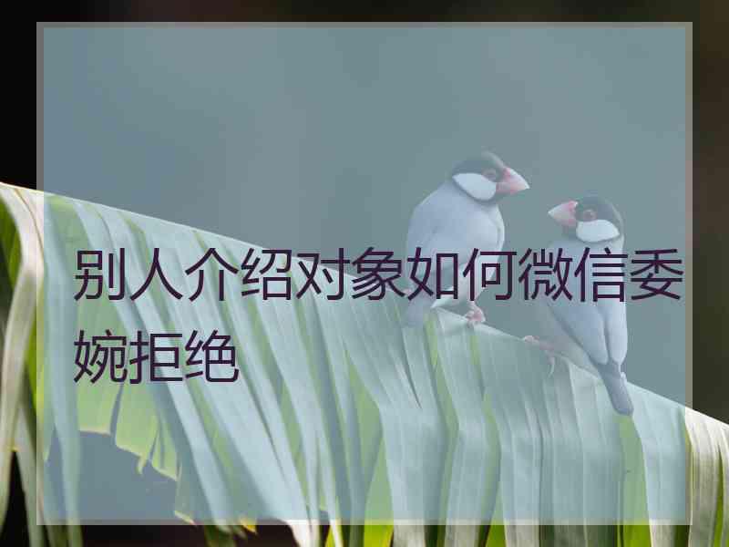 别人介绍对象如何微信委婉拒绝