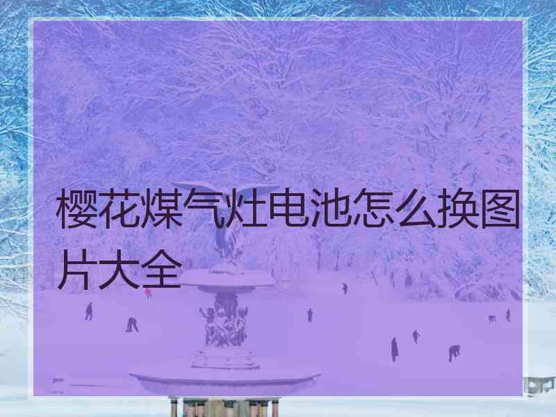 樱花煤气灶电池怎么换图片大全