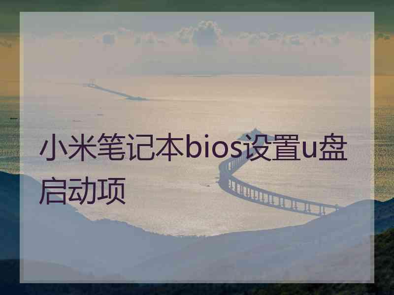 小米笔记本bios设置u盘启动项