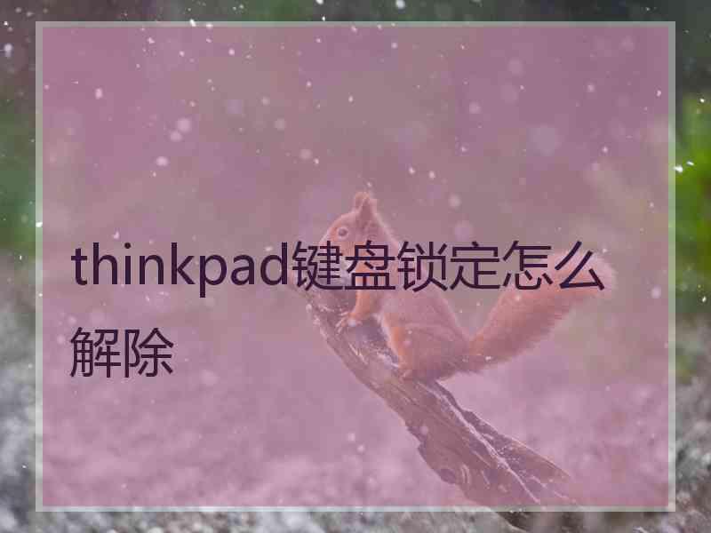 thinkpad键盘锁定怎么解除