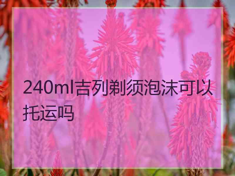 240ml吉列剃须泡沫可以托运吗