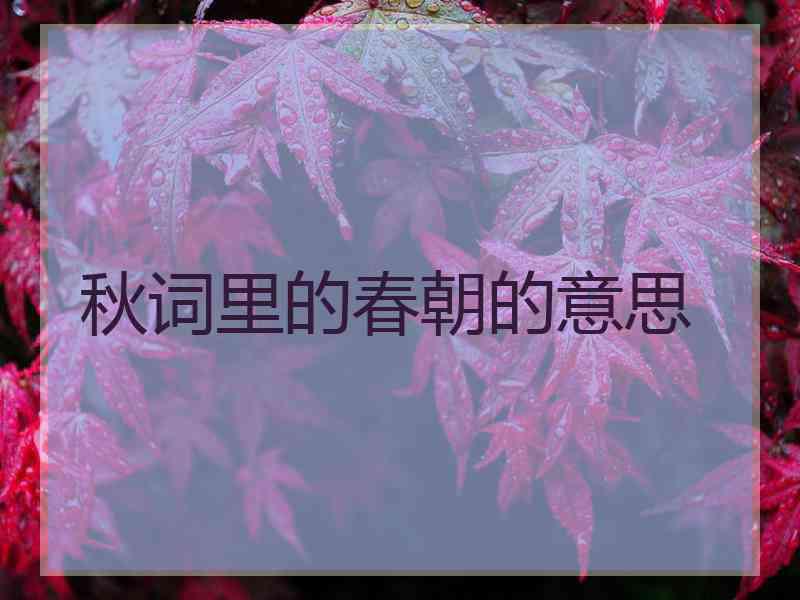 秋词里的春朝的意思