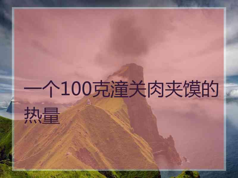 一个100克潼关肉夹馍的热量