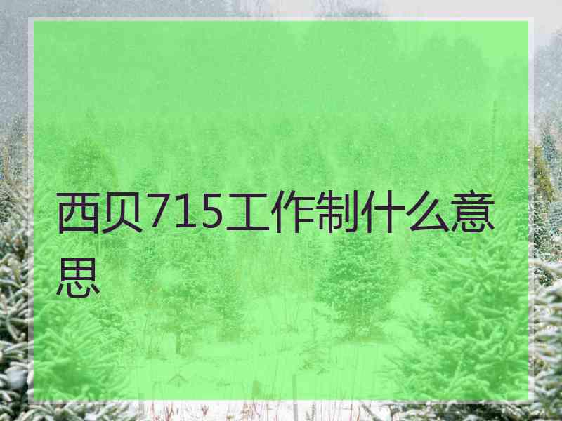 西贝715工作制什么意思