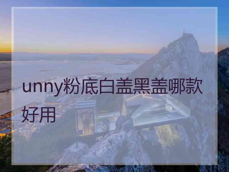 unny粉底白盖黑盖哪款好用